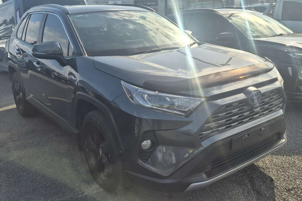 2019 Toyota RAV4 Cruiser AXAH54R