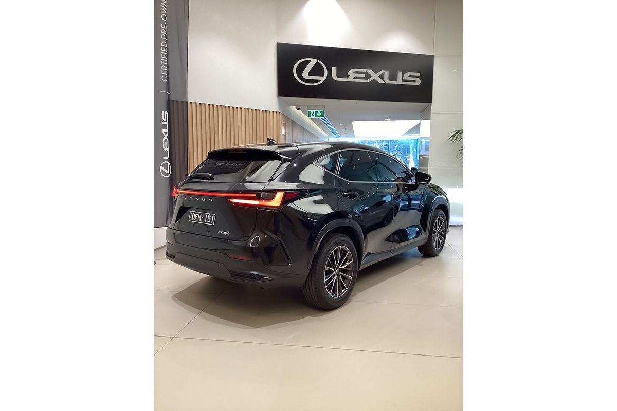 2024 Lexus NX NX250 AAZA20R