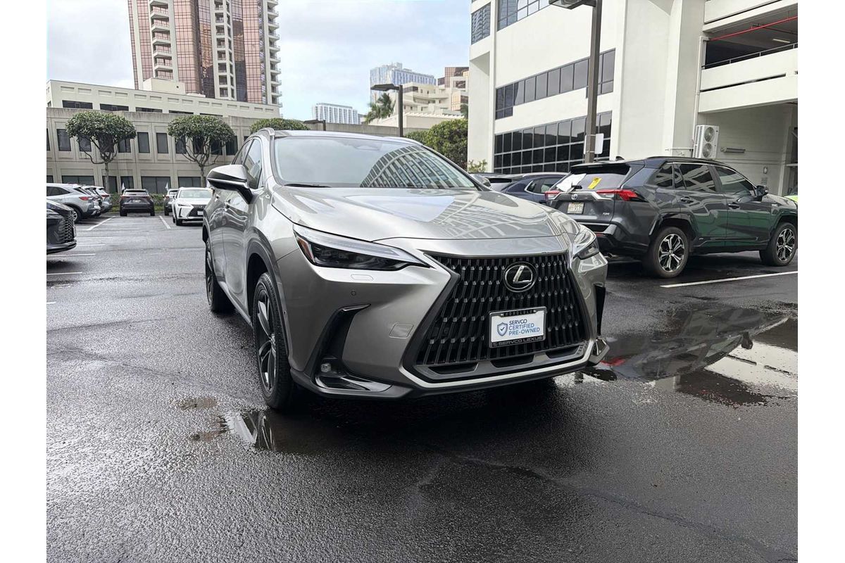 2024 Lexus NX Luxury