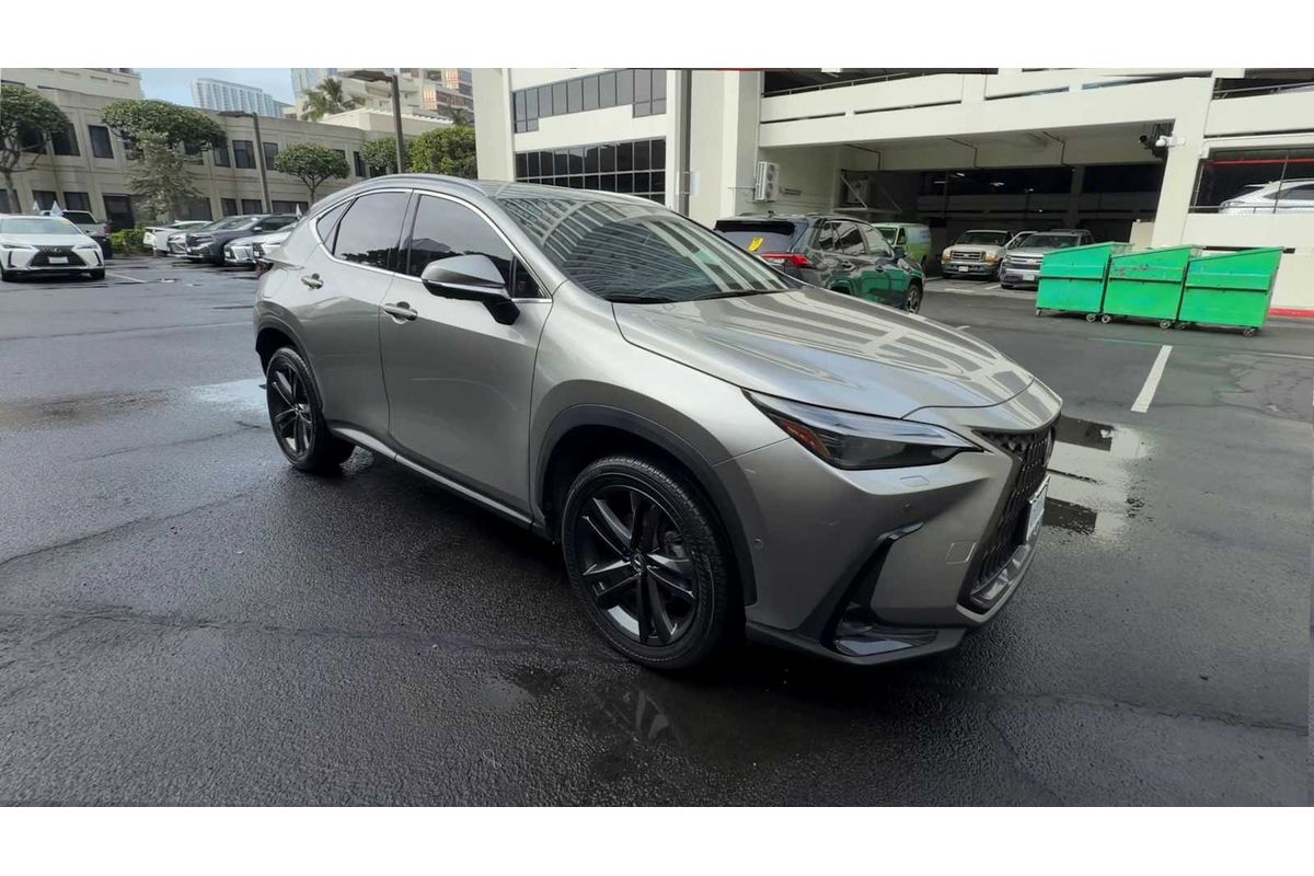 2024 Lexus NX Luxury