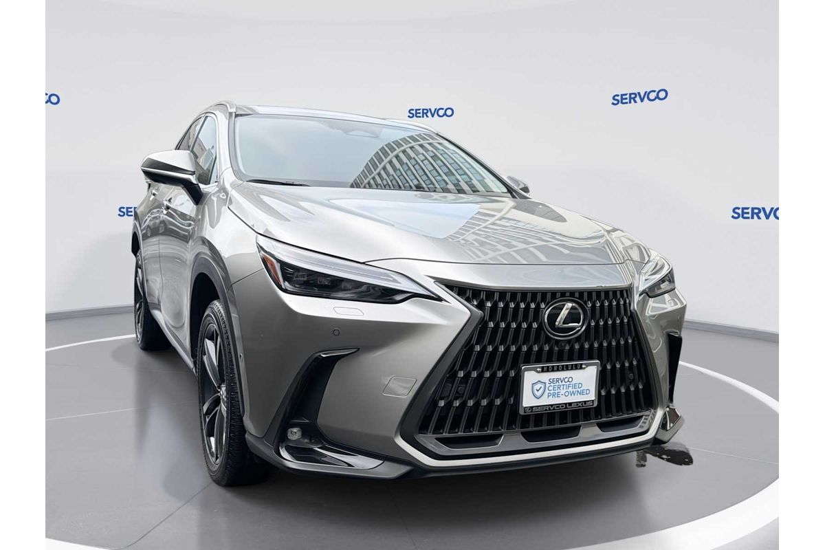 2024 Lexus NX Luxury