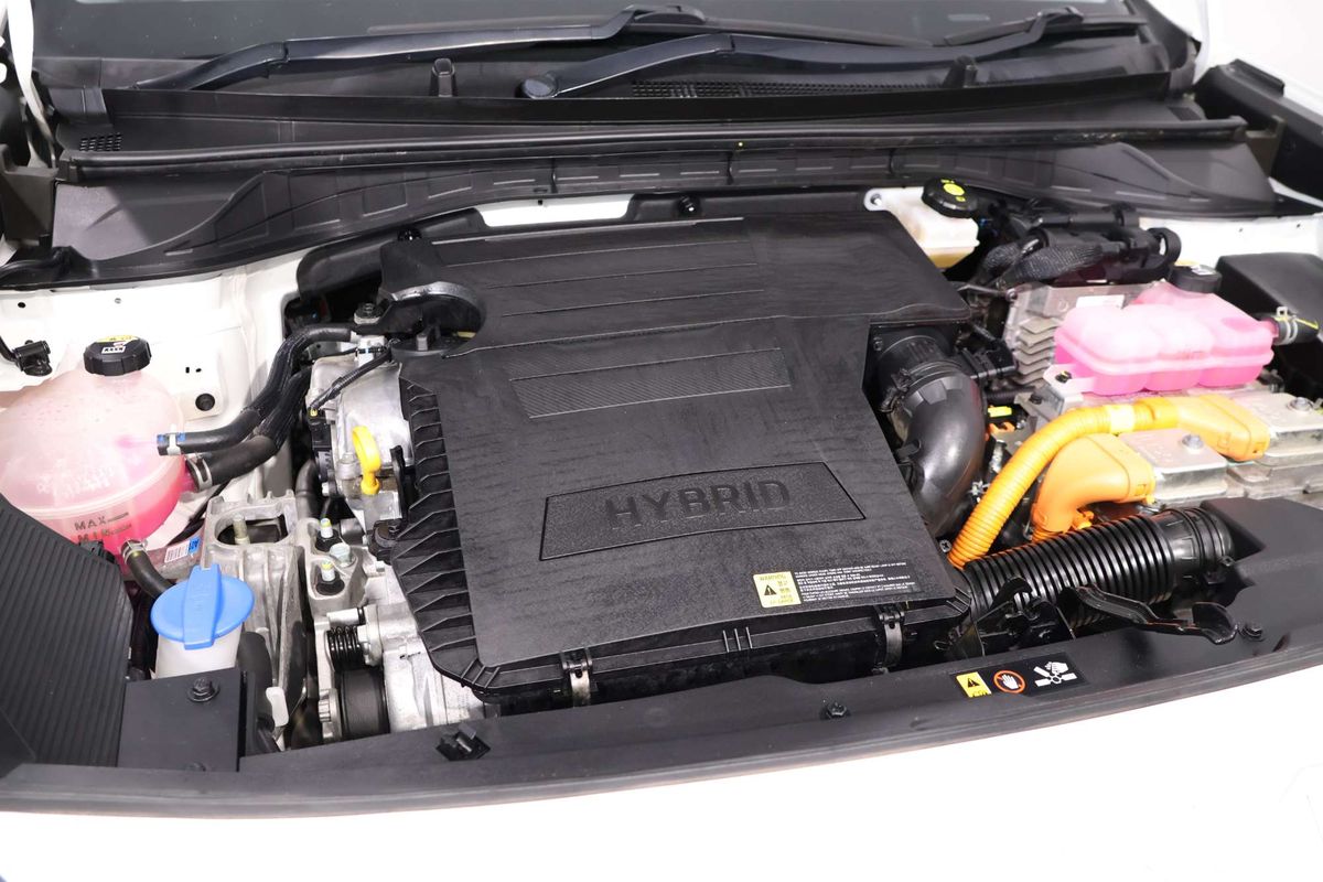 2022 Kia Niro Plus Hybrid S DE PBV