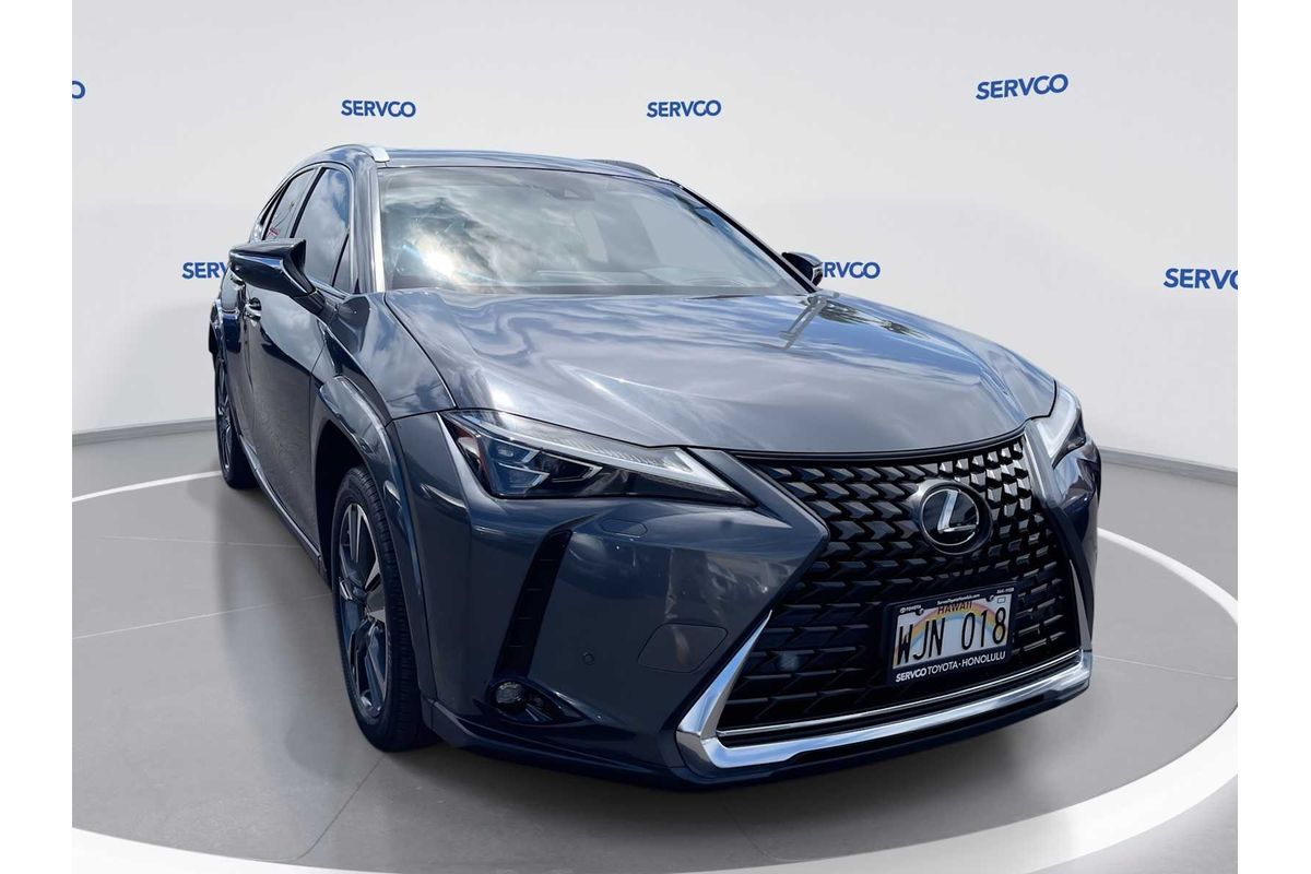 2022 Lexus UX Luxury