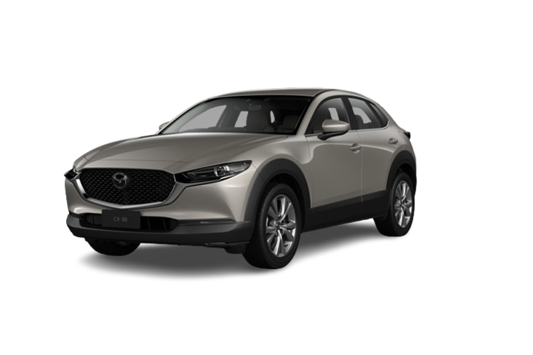 2026 Mazda CX-30 G20 Evolve DM Series