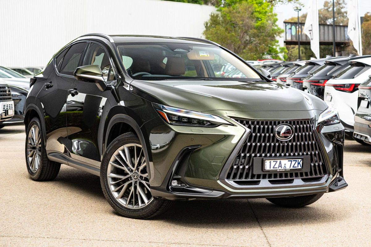 2025 Lexus NX NX350h Sports Luxury AAZH20R