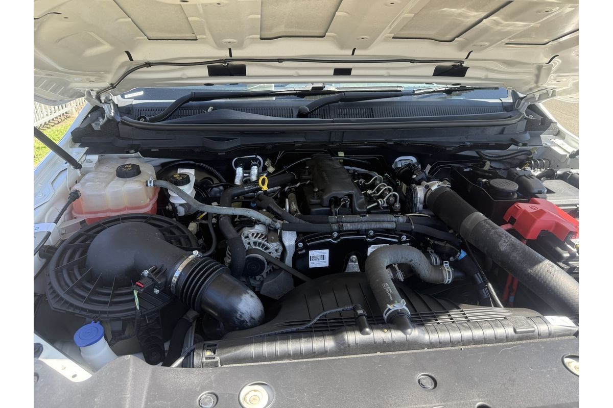 2019 Ford Ranger XL Hi-Rider PX MkIII Rear Wheel Drive 2.2L