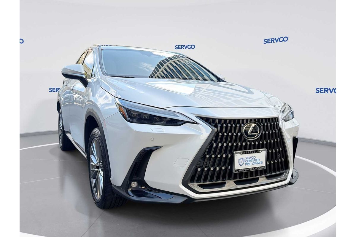 2025 Lexus NX Luxury