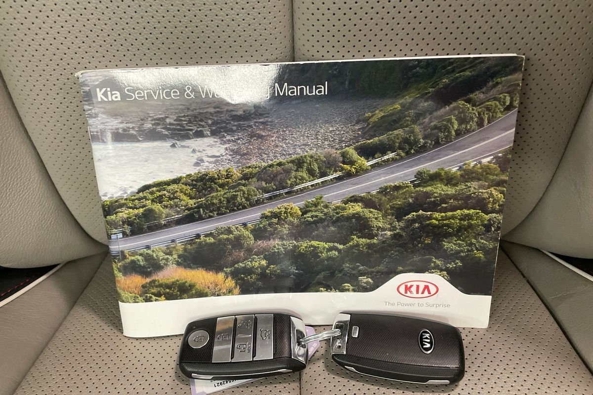 2019 Kia Carnival