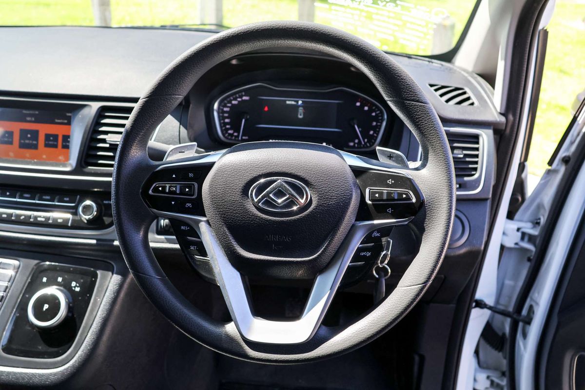 2022 LDV G10 + SV7C image 10