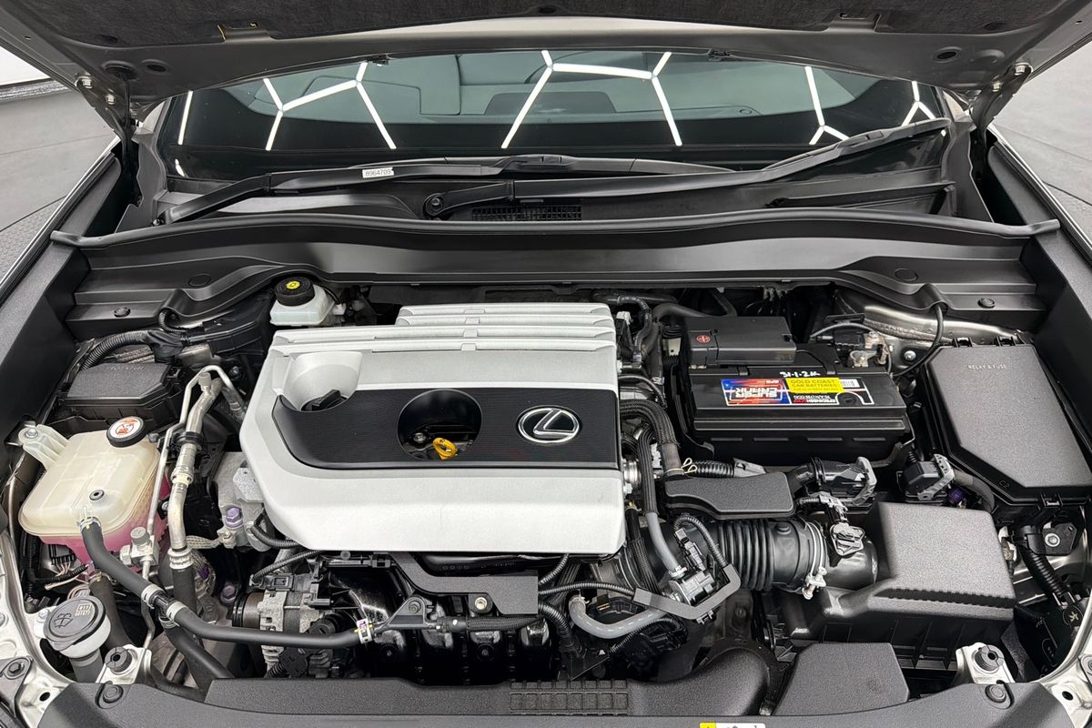 2019 Lexus UX UX200 Luxury MZAA10R