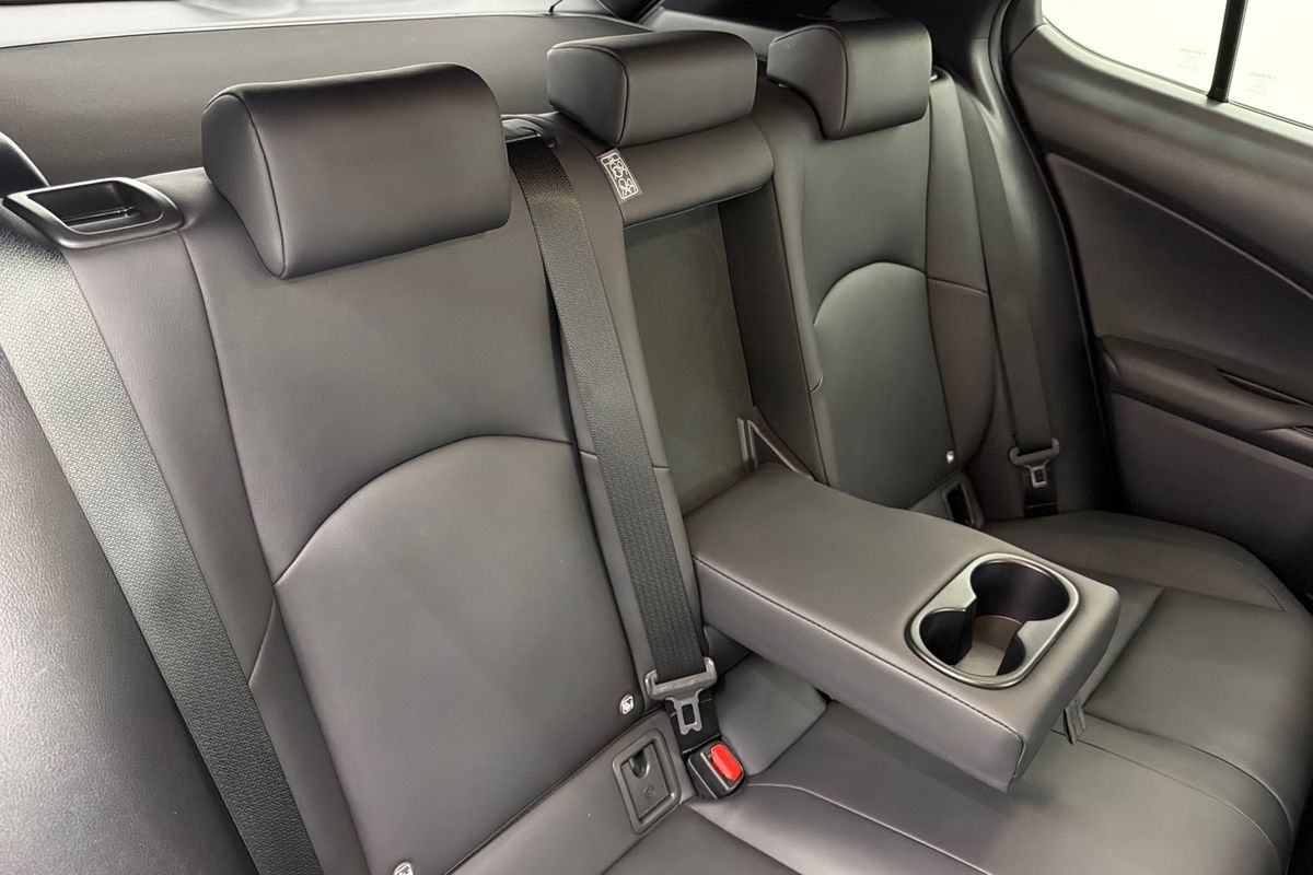 2019 Lexus UX UX200 Luxury MZAA10R