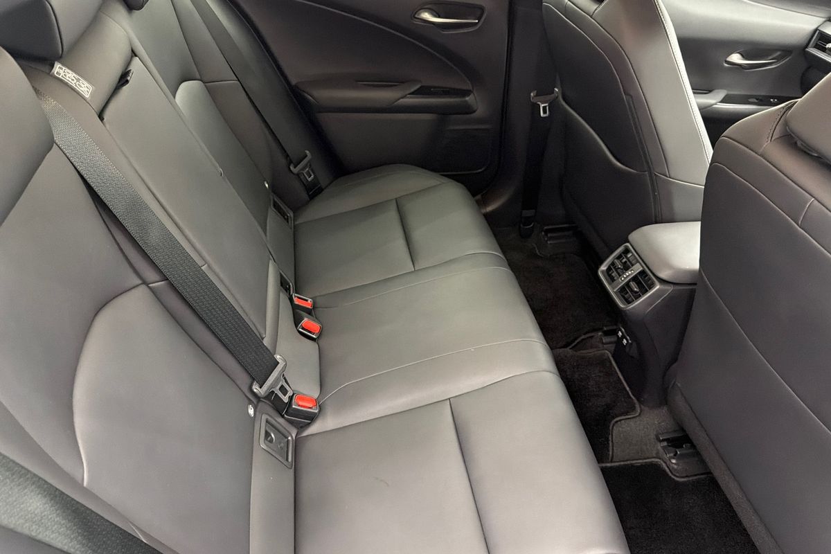 2019 Lexus UX UX200 Luxury MZAA10R
