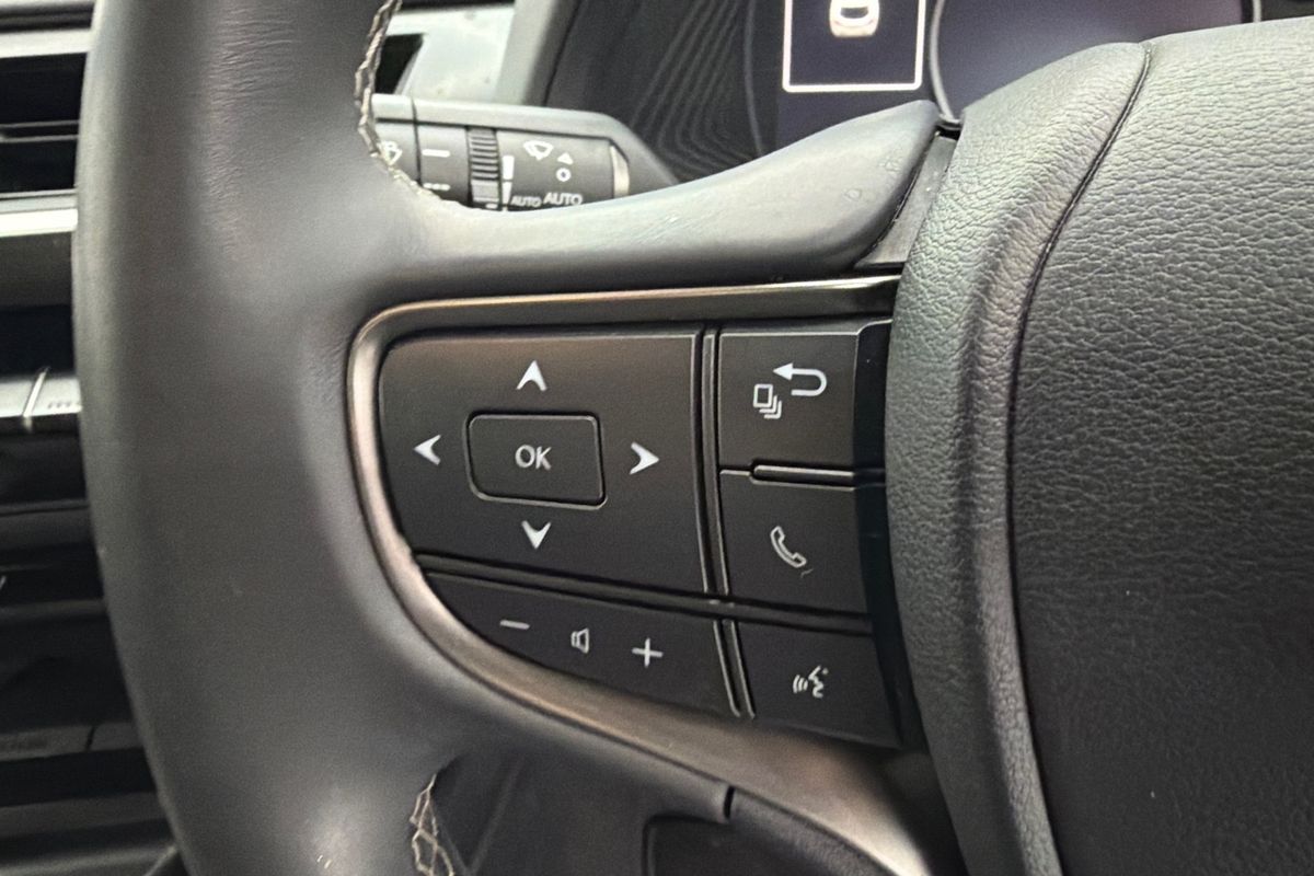 2019 Lexus UX UX200 Luxury MZAA10R