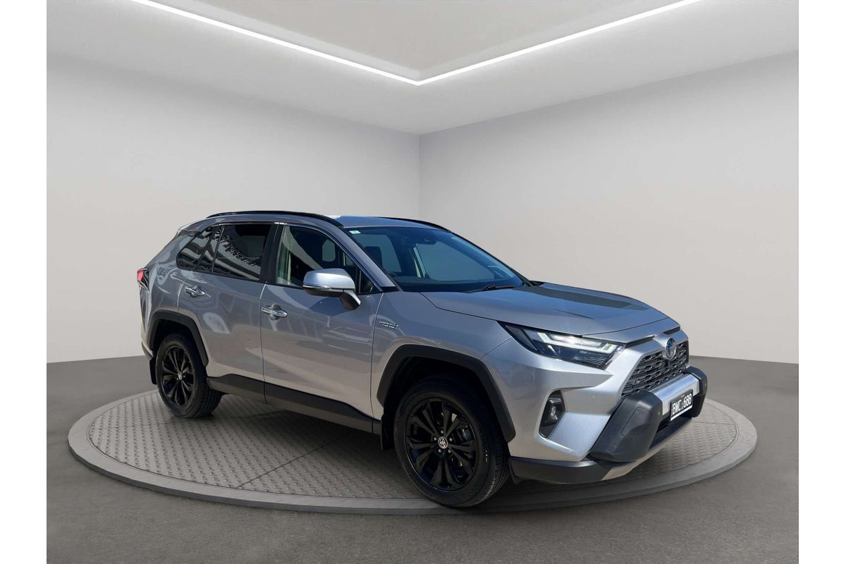 2022 Toyota RAV4 Cruiser AXAH52R