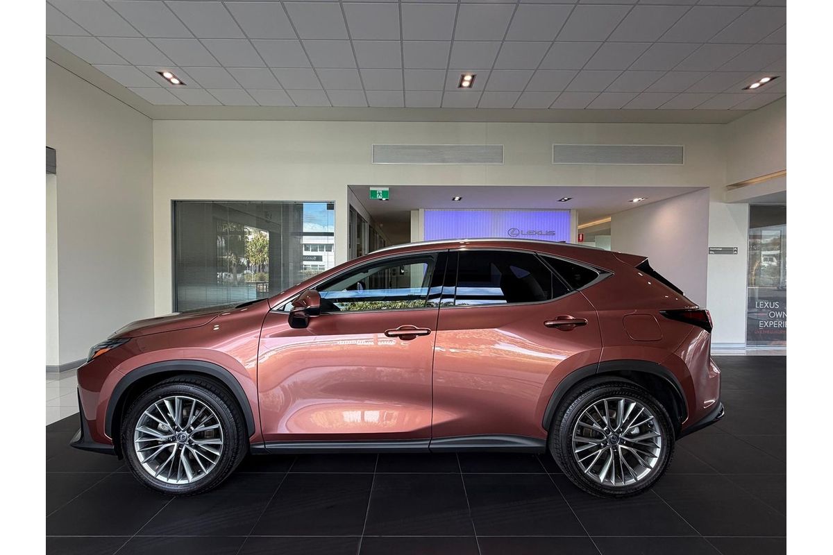 2026 Lexus NX NX350h Sports Luxury AAZH20R