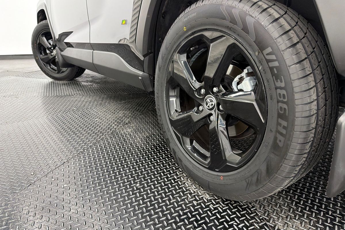 2019 Toyota RAV4 Cruiser AXAH54R