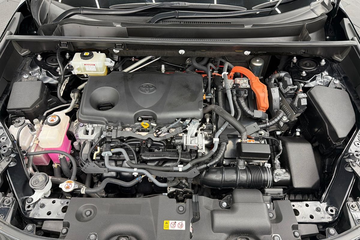 2019 Toyota RAV4 Cruiser AXAH54R