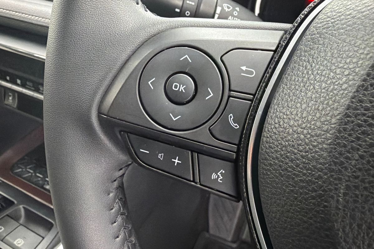 2019 Toyota RAV4 Cruiser AXAH54R