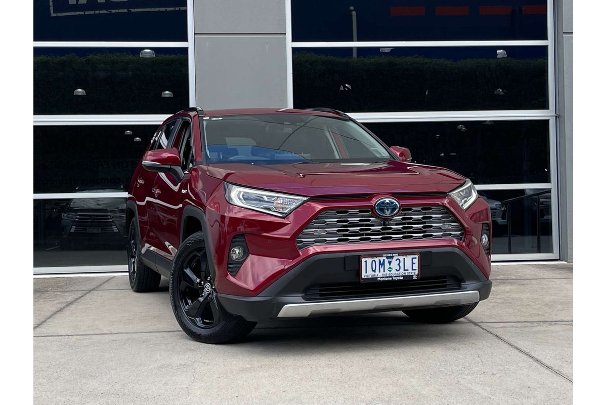 2019 Toyota RAV4 Cruiser AXAH52R