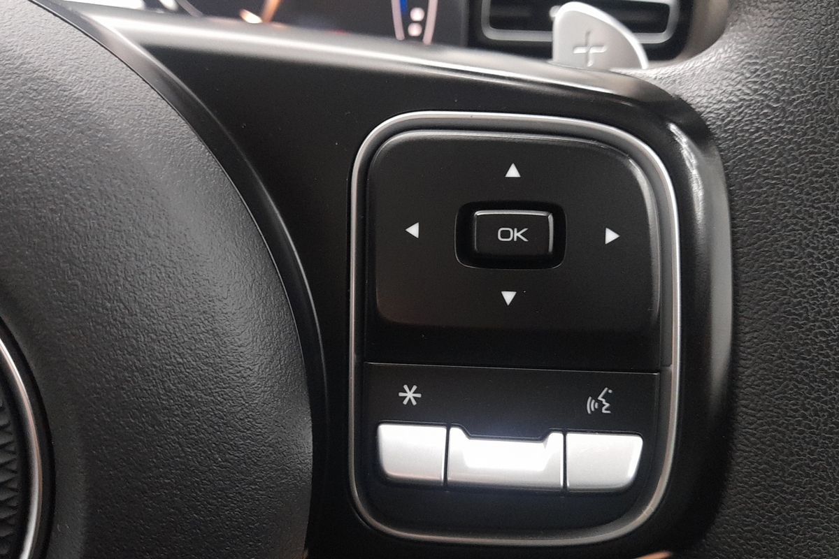 2025 GWM Cannon Premium NPW Rear Wheel Drive image 31