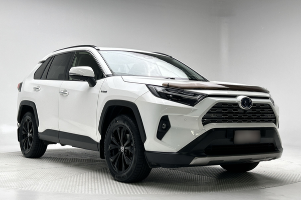 2023 Toyota RAV4 Cruiser AXAH54R