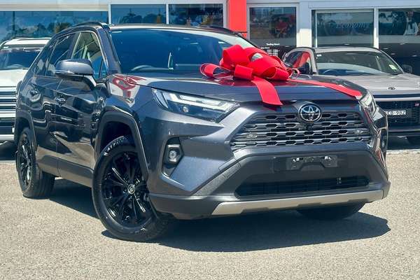2025 Toyota RAV4 Cruiser AXAH52R