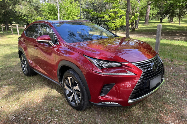 2019 Lexus NX NX300 Sports Luxury AGZ15R