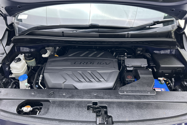 2018 Kia Carnival Platinum YP thumb-10