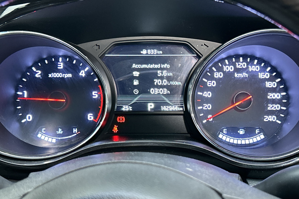 2018 Kia Carnival Platinum YP thumb-13