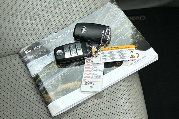 2018 Kia Carnival Platinum YP thumb-22