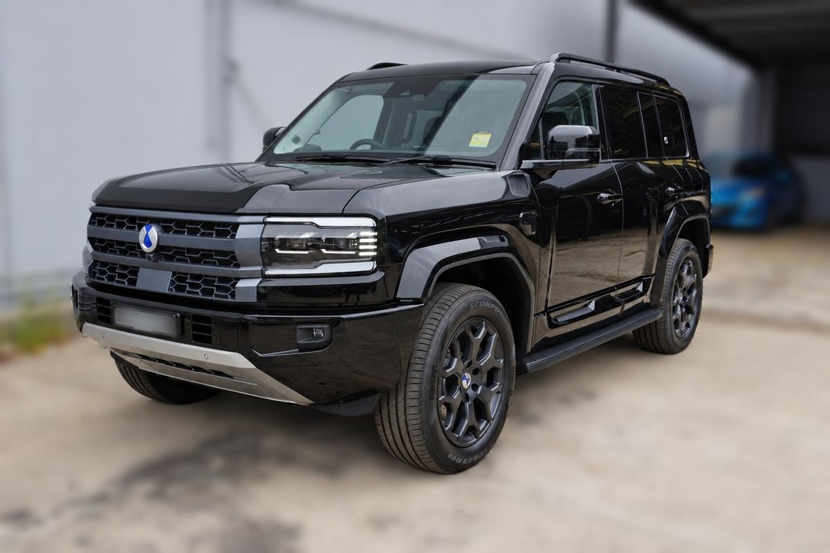 2025 DENZA B5 Leopard