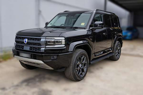 2025 DENZA B5 Leopard