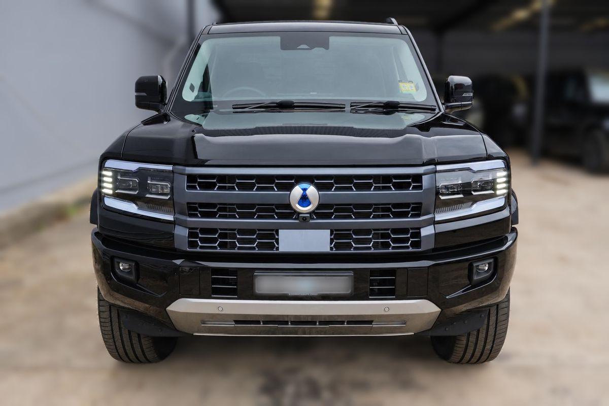 2025 DENZA B5 Leopard