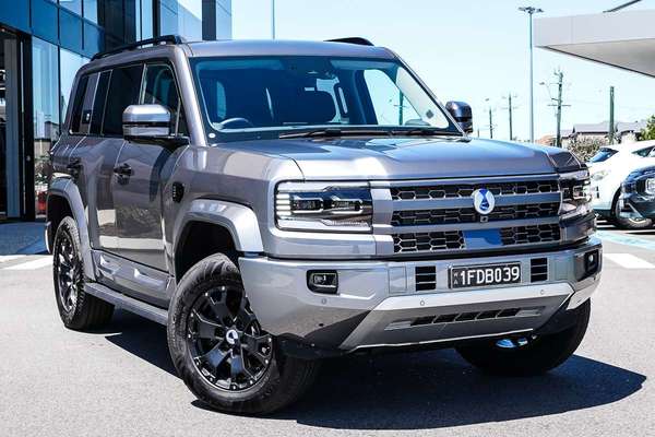 2025 DENZA GREY B5 Dynamic