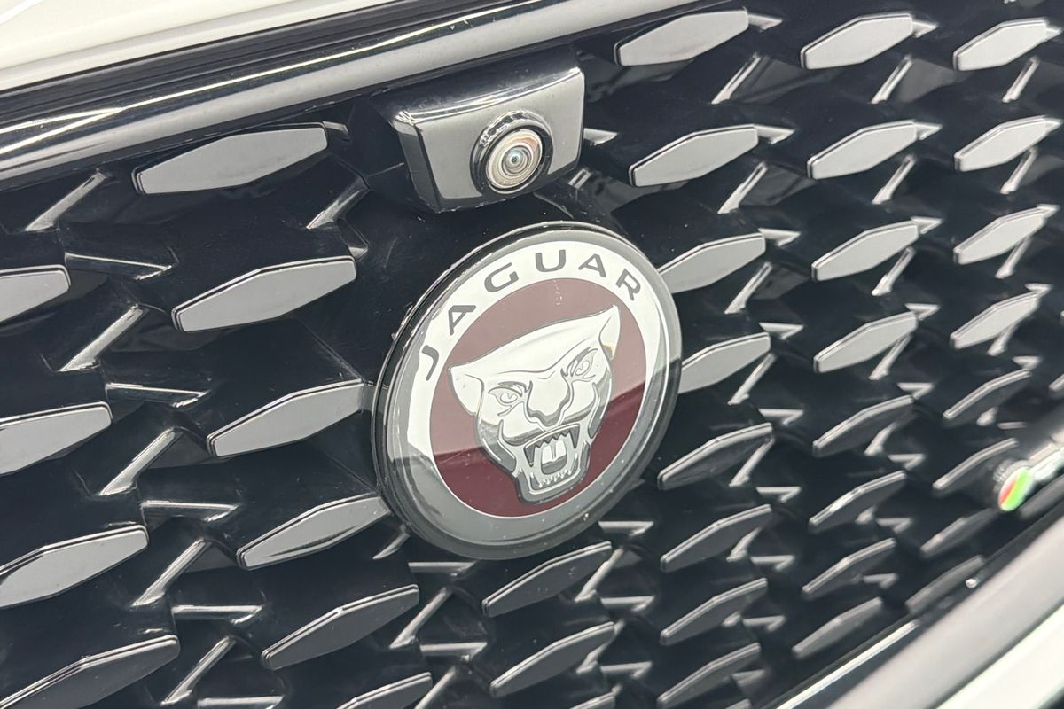 2021 Jaguar F-PACE P250 R-Dynamic S X761