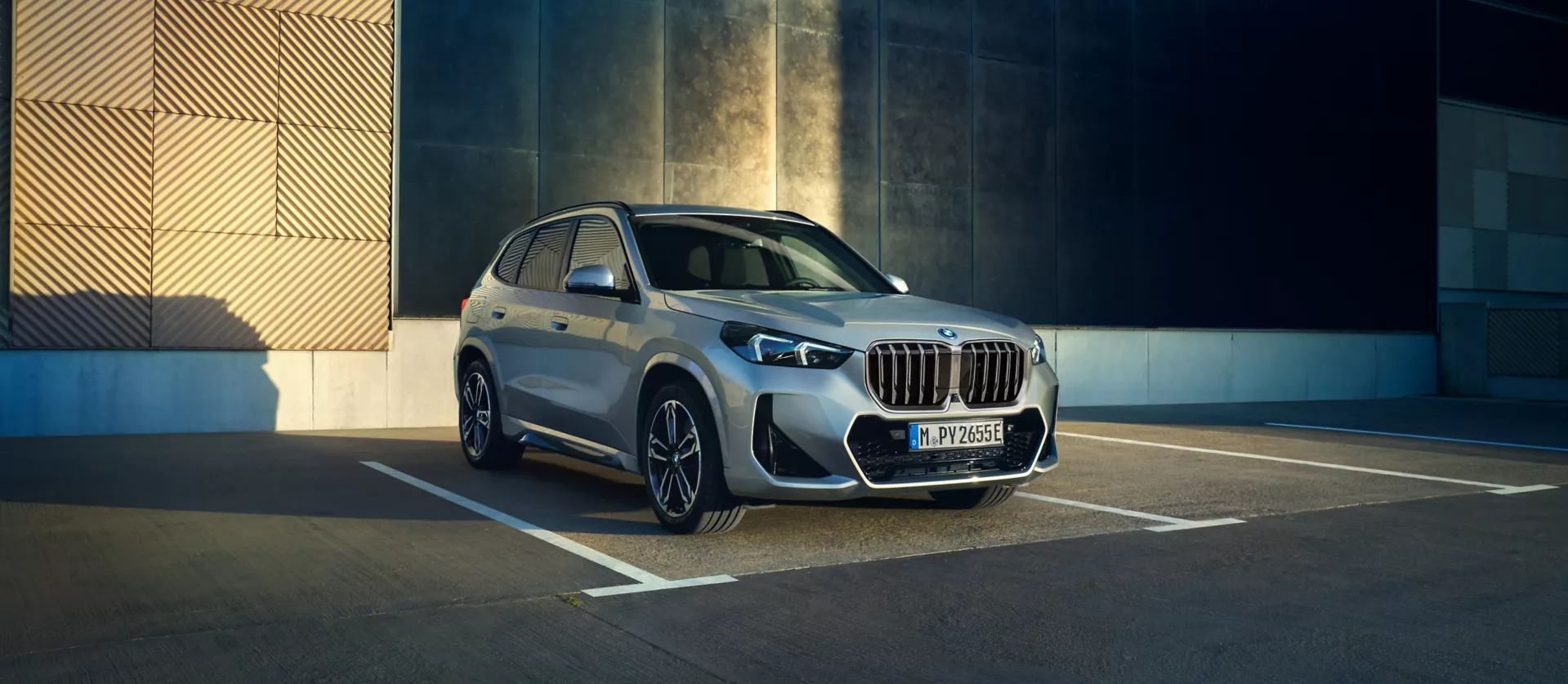 The BMW X1 Plug-In Hybrid.
