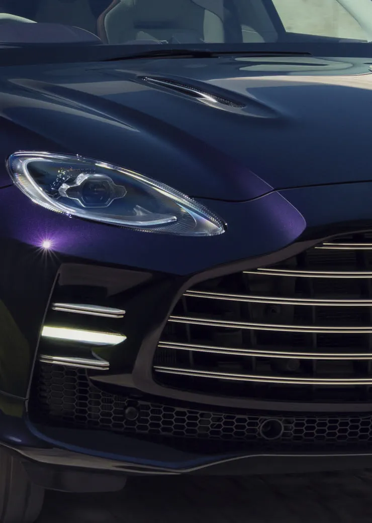 DOUBLE-VANE GRILLE.