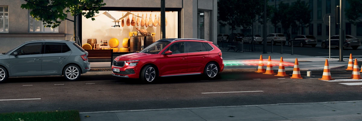 Park Distance Control with Manoeuvre Assist