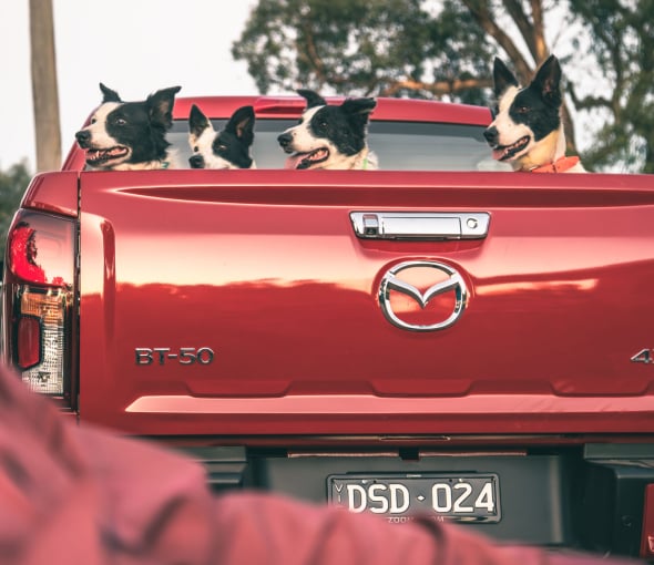 Australian Sheepdog Trials in Mazda BT-50