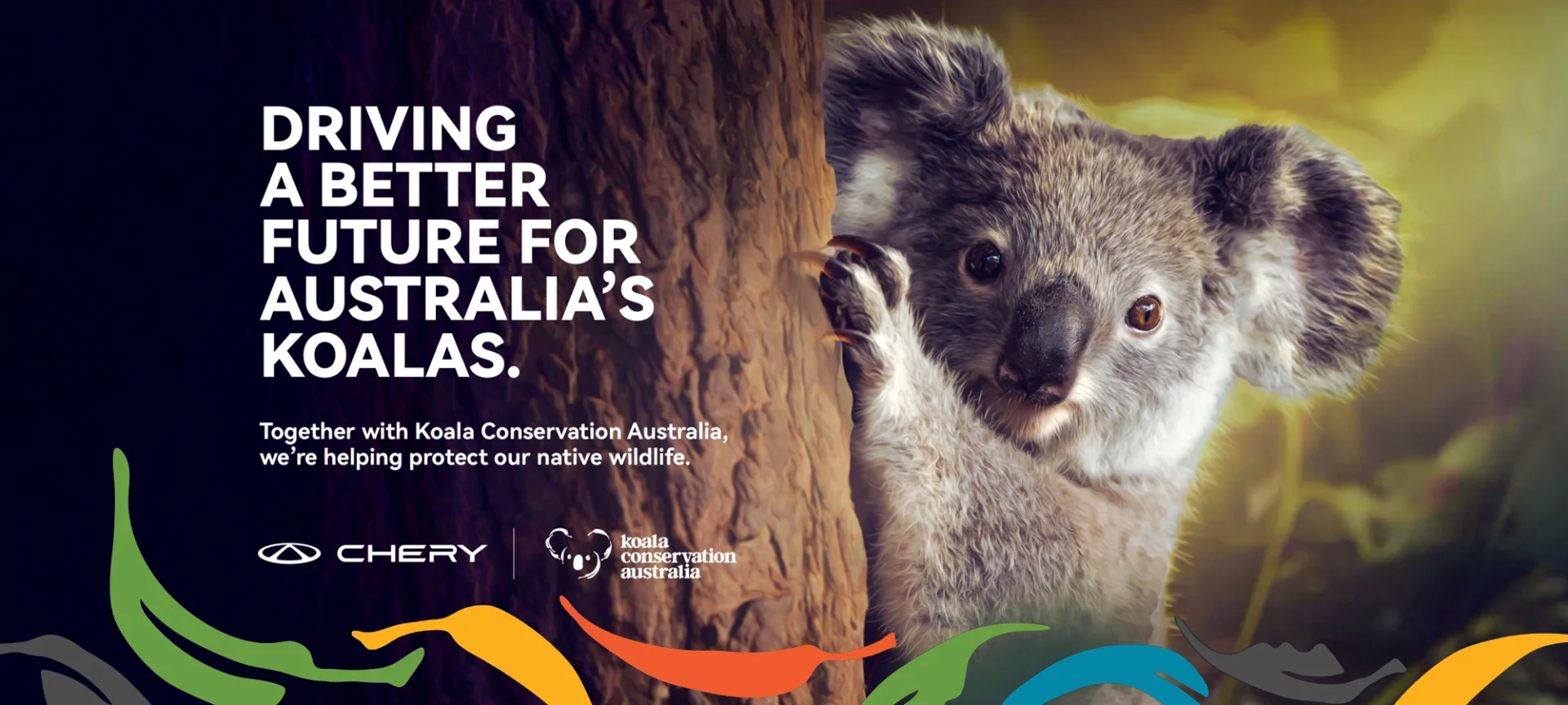 Chery Partners With Koala Conservation Australia To Protect Native Wildlife