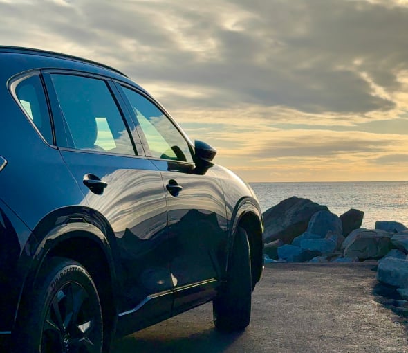 Whale Watching in the Mazda CX-5
