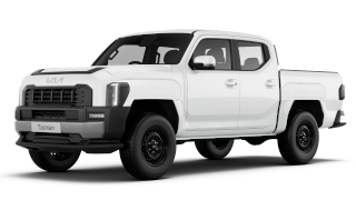  Tasman Pick-up S