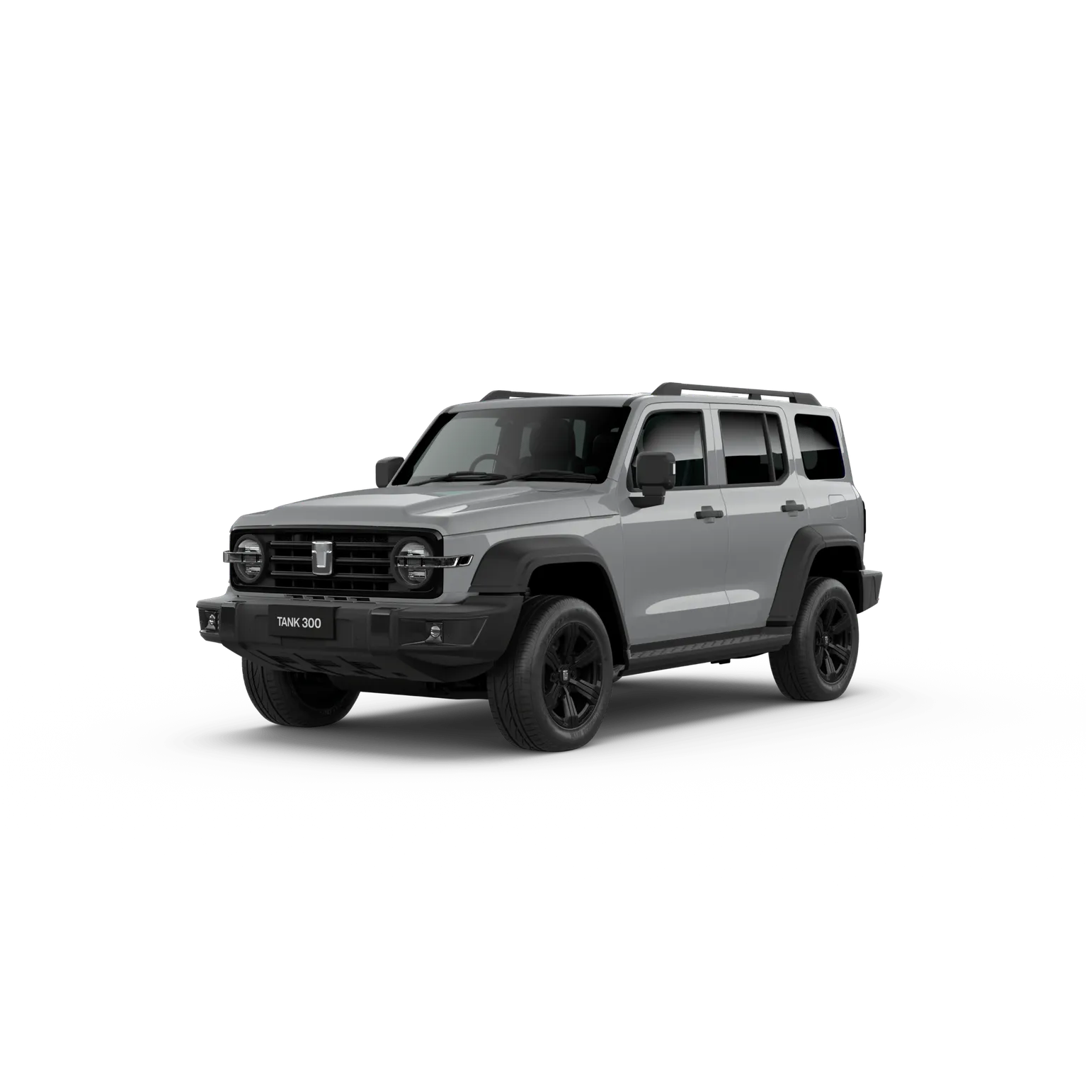 Tank 300 Lux Diesel