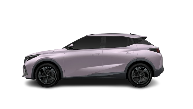 Emzoom Premium