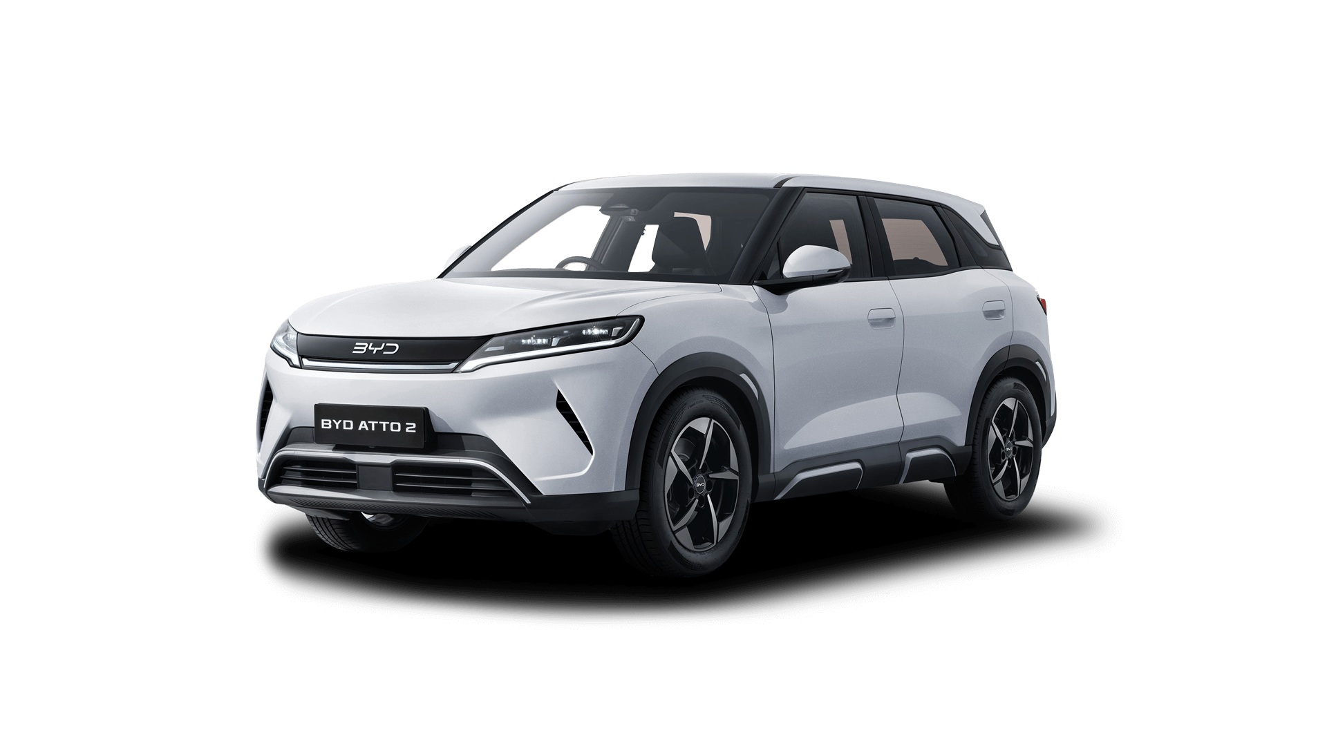 Atto 2 Dynamic